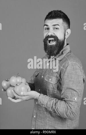 Gardening and fall crops concept. Farmer with cheerful face and hands full of fresh apples. Man with beard holds red fruit isolated on green background. Guy presents homegrown harvest Stock Photo
