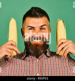 Agriculture and fall crops concept. Man with beard holds corn cobs isolated on green background, close up. Guy shows his harvest. Farmer with smiling face holds yellow corn near face Stock Photo