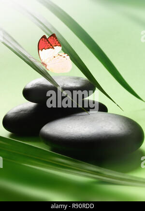 Butterfly, Black and Balanced Stones. Palm Leaf. Zen and Spa Concept. Stock Photo