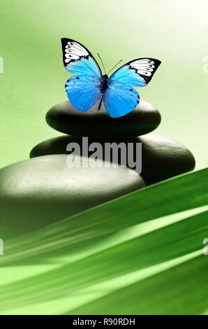 Butterfly, Black and Balanced Stones. Palm Leaf. Zen and Spa Concept. Stock Photo