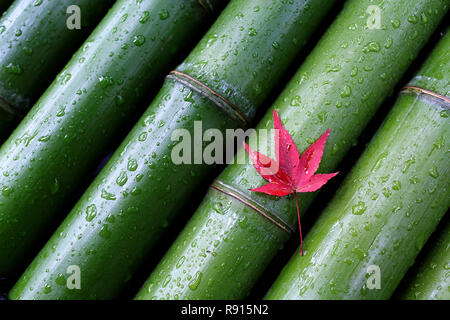 High angle view of red maple leaf on bamboo background, Japan Stock Photo