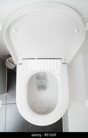 Toilet bowl top view in water closet. Stock Photo