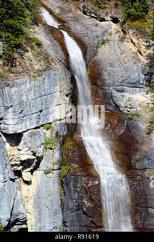 BRIDAL VEIL FALLS. Roadside streams and waterfalls abound along the Icefield Parkway, # 93, in the Canadian Rockies between Banff and Jasper. Stock Photo