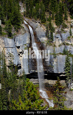 BRIDAL VEIL FALLS. Roadside streams and waterfalls abound along the Icefield Parkway, # 93, in the Canadian Rockies between Banff and Jasper. Stock Photo