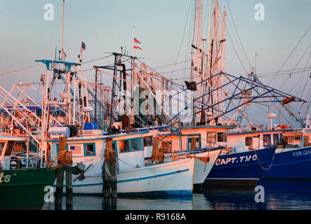 Shrimp boats dock at the Pass Christian Yacht Club in Pass Christian, Mississippi Dec. 8, 2010. Stock Photo