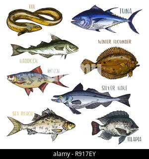 Trophy signboards with sea and river fish Stock Vector