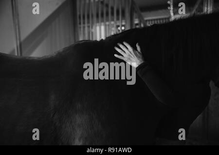 Cropped Image Of Woman Touching Horse Stock Photo