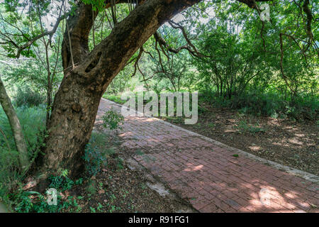 Irene Dairy Farm is a working dairy farm in Irene, Pretoria, where research is being done. Stock Photo