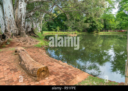 Irene Dairy Farm is a working dairy farm in Irene, Pretoria, where research is being done. Stock Photo