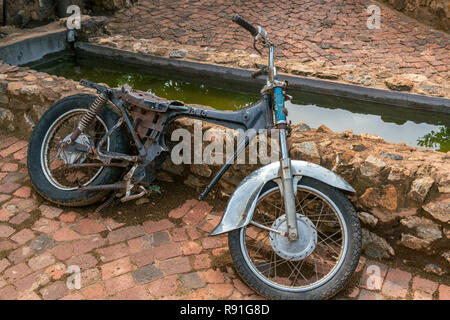 Irene Dairy Farm is a working dairy farm in Irene, Pretoria, where research is being done. Stock Photo