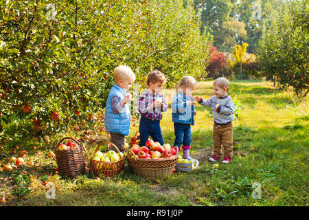 Cute children standing in autumn apple garden Stock Photo