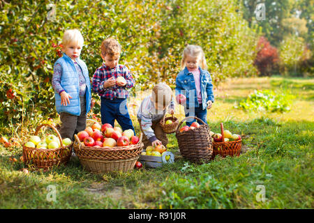 Two kids with apples in their hands at autumn orchard Stock Photo