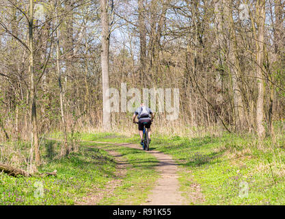 Man cyclist riding the bike on the trail in spring sunny forest. Back view. Healthy lifestyle and travel concept. Space for text Stock Photo