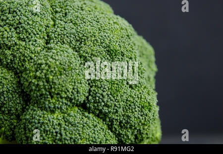 one head of healthy salad. fresh green broccoli. horizontal view of green vegetable flower. healthy diet. copy space. green cabbage closeup on black b Stock Photo