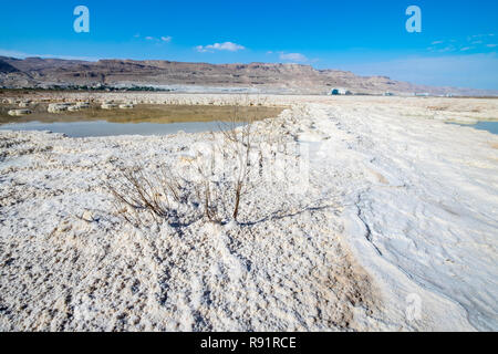 Israel, Dead Sea, salt crystalization caused by water evaporation Stock Photo