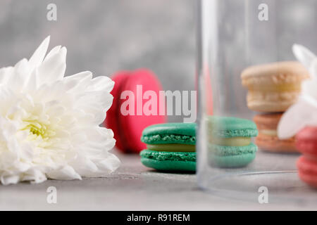 Multi-colored macarons under a glass dome on a gray background with chrysanthemum flowers. Gentle macaroons macaroons. Stock Photo