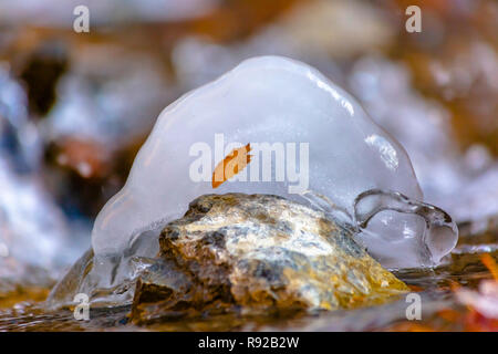 Single leaf frozen in ice inside of riverbed Stock Photo