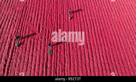 Beijing, China. 4th Dec, 2018. Aerial photo taken on Dec. 4, 2018 shows farmers drying chilli peppers at Huanglin Village of Liangjiadian Township in Yutian County of Tangshan City, north China's Hebei Province. Colors make our world bright and beautiful. In 2018, Xinhua photographers across China explored views from the sky with drones. Here are these drone photos with amazing colors. Credit: Liu Mancang/Xinhua/Alamy Live News Stock Photo