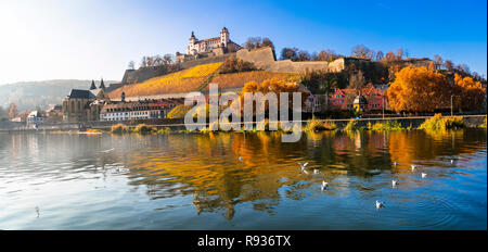 Beautiful Wurzburg town,view with vineyards and old castle,Bavaria,Germany. Stock Photo