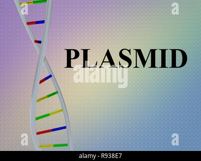 3D illustration of PLASMID script with DNA double helix , isolated on ...
