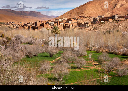 Morocco, Dades Gorge, Ait Ouglif village irrigat6ed agricultural fields around historic settlement Stock Photo