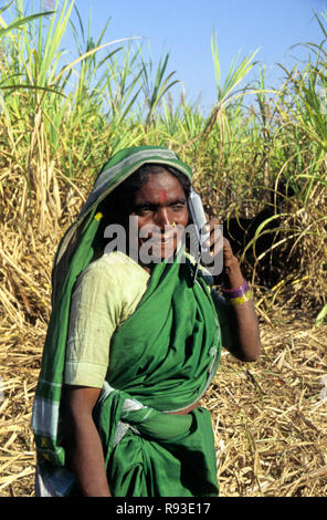 Woman With Mobile Stock Photo