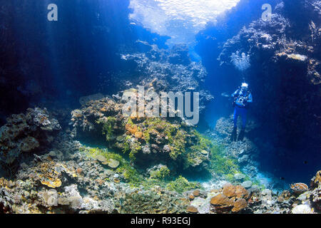 Male Scuba Diver with camera in underwater swim through with coral reef and sunbeams Stock Photo