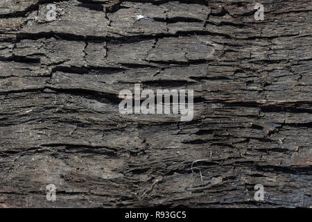 burned wood texture, black grunge background Stock Photo