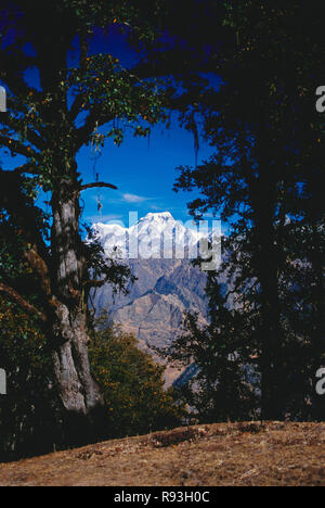 Gorsan Top, Auli, Himalayan ski resort, hill station, Nanda Devi,  Nar Parvat mountains, Garhwal, Uttarakhand, India, Asia, Asian, Indian
