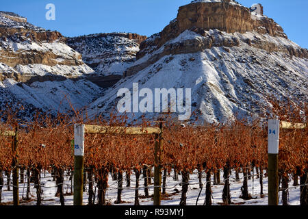 Colorado wine country vineyard in winter Stock Photo