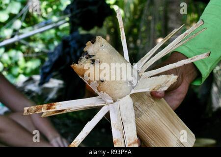 Sticky rice made with rice, black beans, condensed milk slow cooked in bamboo over a roadside fire sold as street food in Cambodia Stock Photo