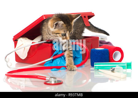 Little kitten with first aid kit Stock Photo