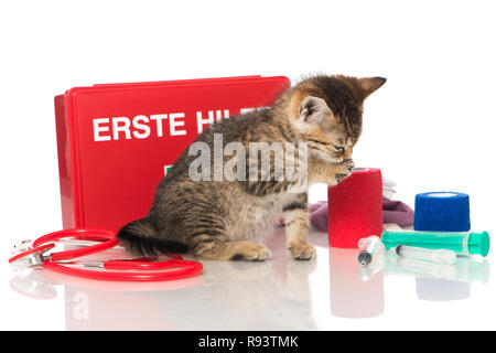 Little kitten with first aid kit Stock Photo