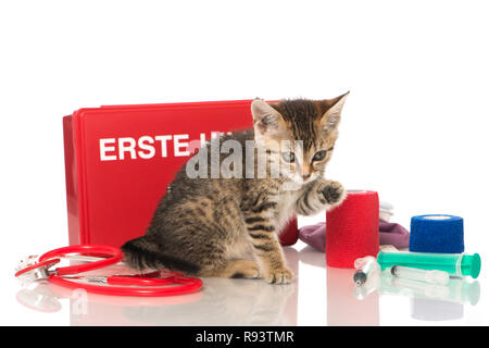 Little kitten with first aid kit Stock Photo