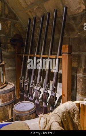 Antique muskets in the armory room. Stock Photo