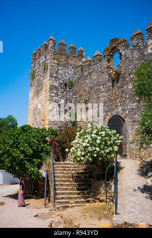 The abandoned stone Aguzaderas Castle in El Coronil, Spain, a ruined 14th century Morrish castle, rests in a field of sunflowers on a cloudless, summe Stock Photo