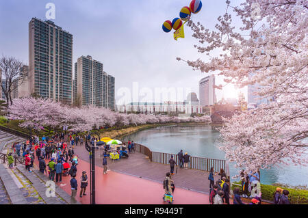 SEOUL, KOREA - APRIL 5, 2015: tourist In spring with cherry blossoms,Lotte World, Amusement park in Seoul South Korea on April 5, 2015 Stock Photo