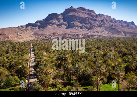 Morocco, Agdz, Palm tree plantations around town centre Stock Photo