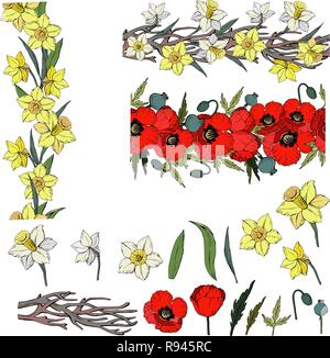 Vector set of seamless brushes with narcissus and poppy, isolated floral elements on a white background for your design Stock Vector