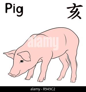 Chinese Zodiac Sign Pig, Fixed Element Water, symbol of New Year on the Eastern calendar, hand drawn vector isolated on the white background Stock Vector