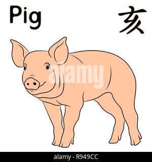 Chinese Zodiac Sign Pig, symbol of New Year on the Eastern calendar, hand drawn vector isolated on the white background Stock Vector