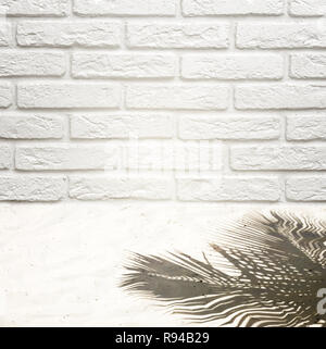 Background to insert an object on a brick wall and white sand with a shadow from a coconut tree. Ready background for designers. Stock Photo