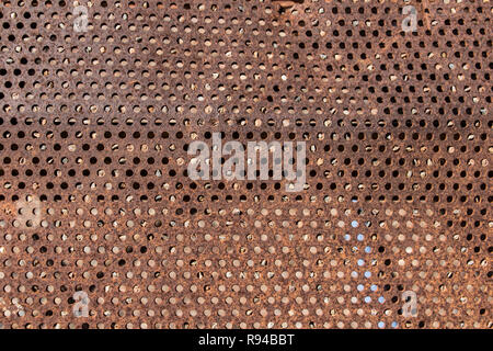 perforated and rusty metal, rusty and leaky metal plate, metal corroded texture, rusty metal background, brown Stock Photo