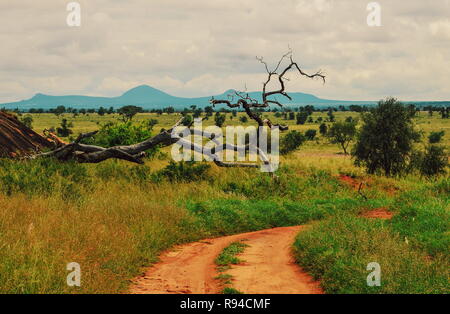 A dirt road against a mountain background at Taita Hills Wildlife Sanctuary, Voi Stock Photo