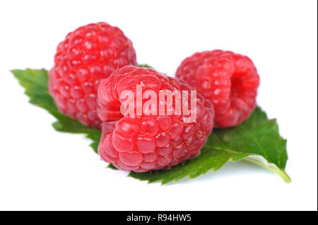 Three ripe raspberries on a raspberry leaf Stock Photo