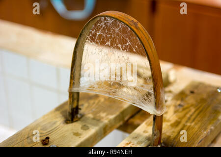 Silk cocoon stretched out over wood frame showing the strands that make up the cocoon Stock Photo