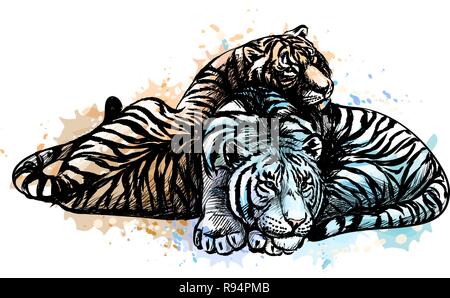 Two tigers yellow and white from a splash of watercolor Stock Vector