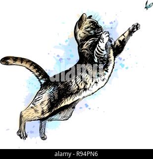 Cat playing with a butterfly from a splash of watercolor Stock Vector