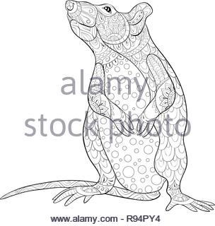 Download Coloring page with doodle style rat in zentangle inspired ...