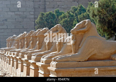 Avenue of the ram-headed Sphinxes in Karnak Temple - Luxor, Egyp Stock Photo